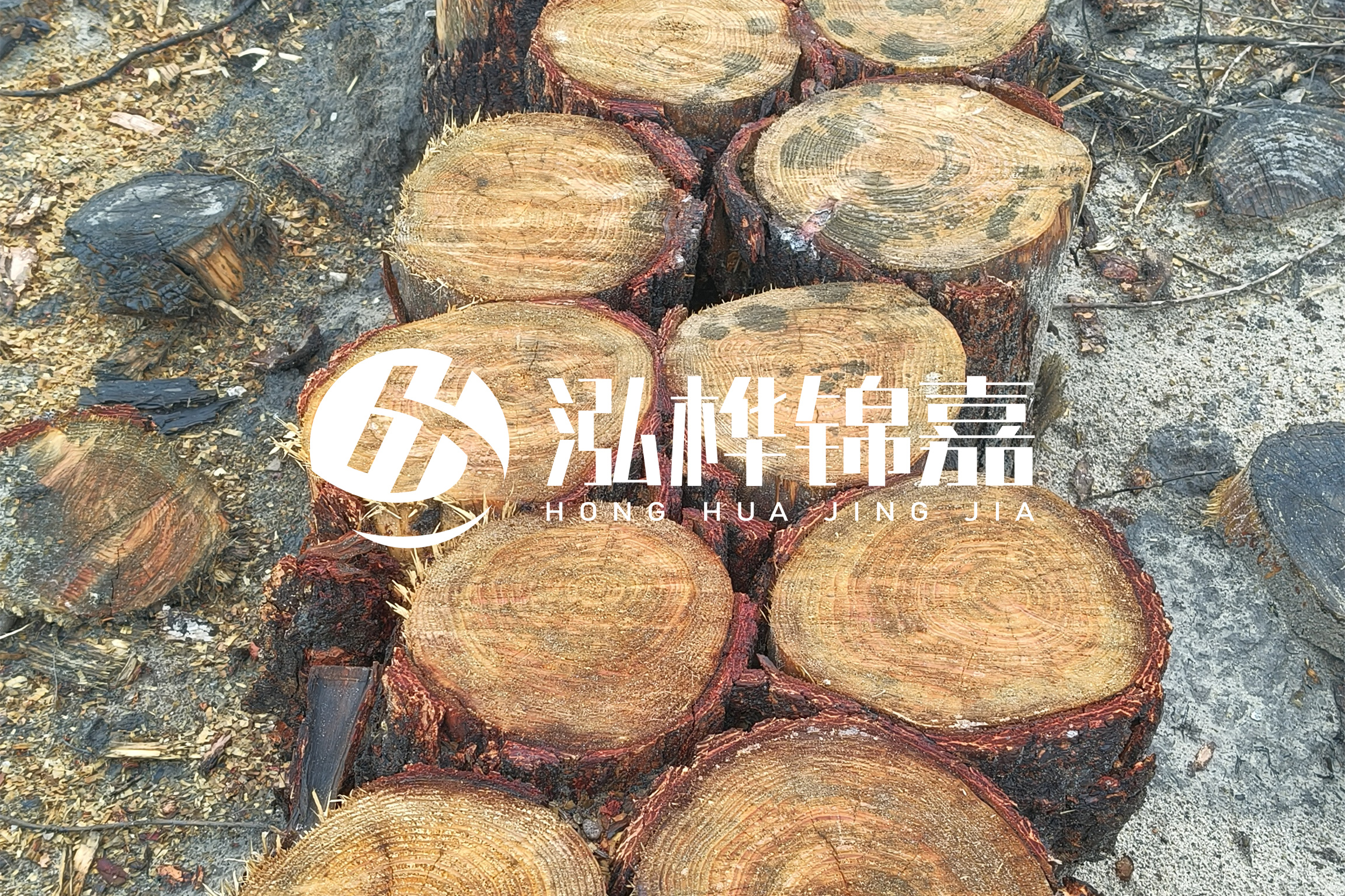 浙江臺州有清淤的公司嗎？浙江臺州有清淤施工隊嗎？
